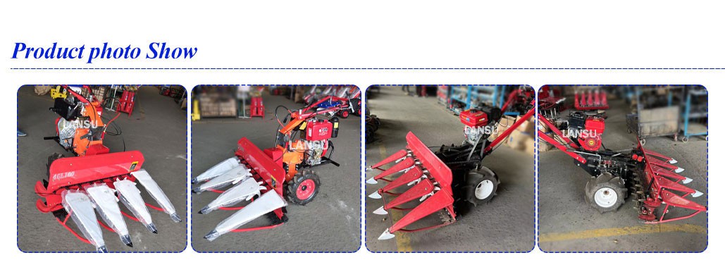 LS-63001 LS-63001
