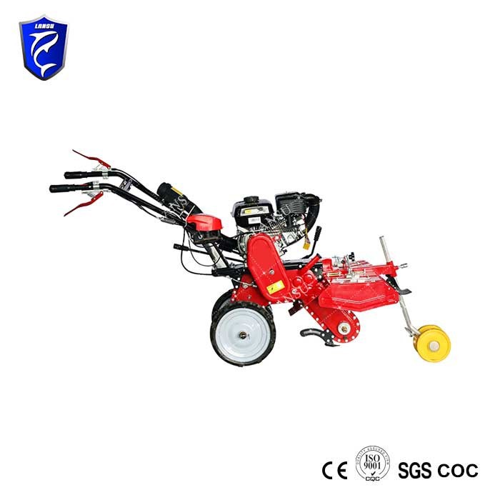 Tubakas, viinamarjasuhkruroog ja muud kohad, kus on vaod